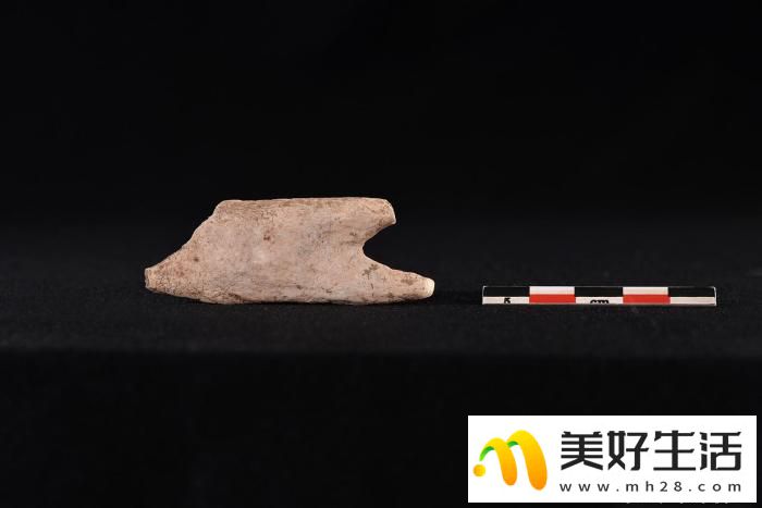 贵州普定穿洞遗址人类活动史推至5.5万年前(图4) 贵州普定穿洞遗址人类活动史推至5.5万年前(图4)