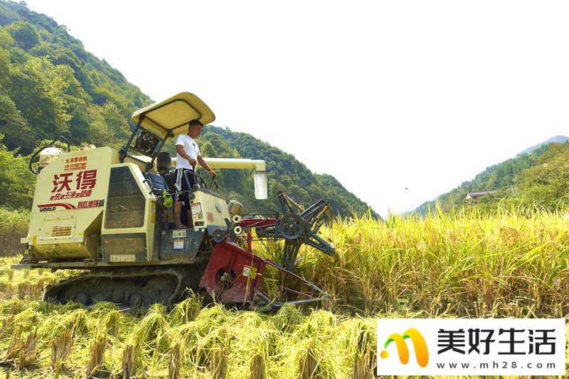 奋力谱写贵州镇远经济社会高质量发展新篇章(图4)