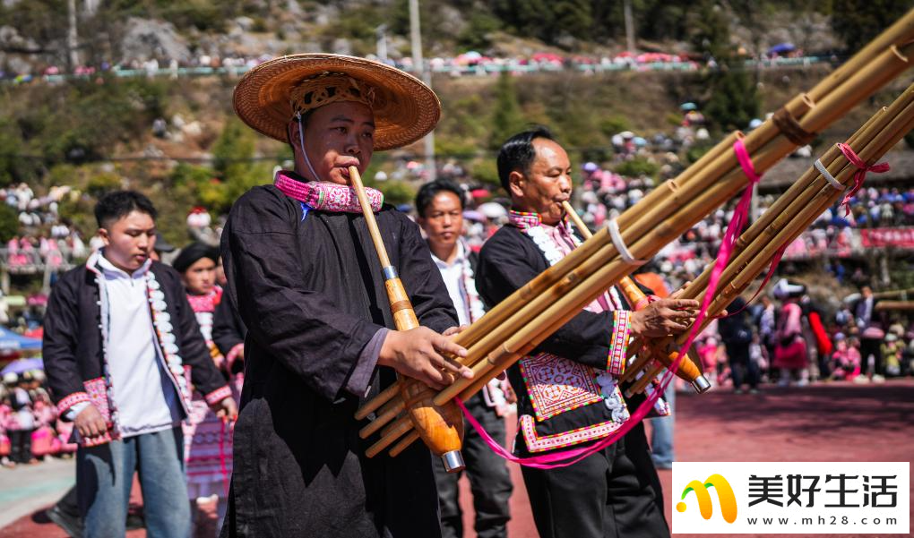 贵州六枝：苗族群众欢庆跳花节(图3)