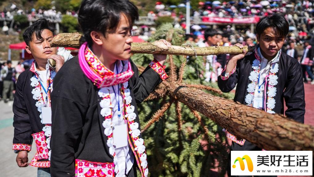 贵州六枝：苗族群众欢庆跳花节(图6)