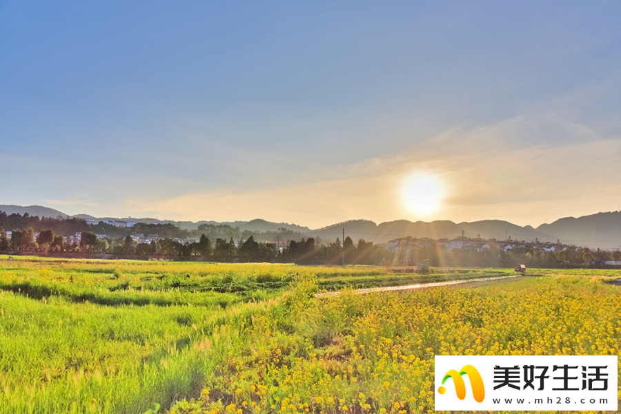 云南昌宁：春意浓浓 油菜花开(图4)