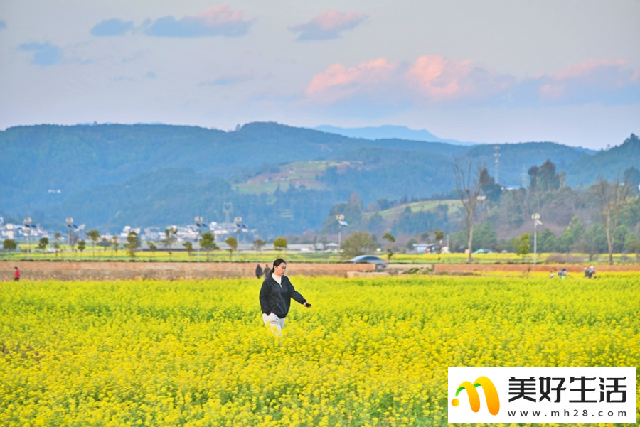 云南昌宁：春意浓浓 油菜花开(图8)