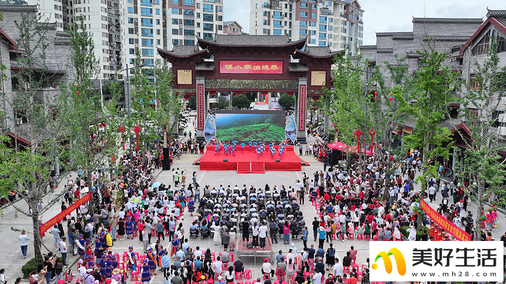 瑶乡“养生汤” 茶香飘四方(图1)
