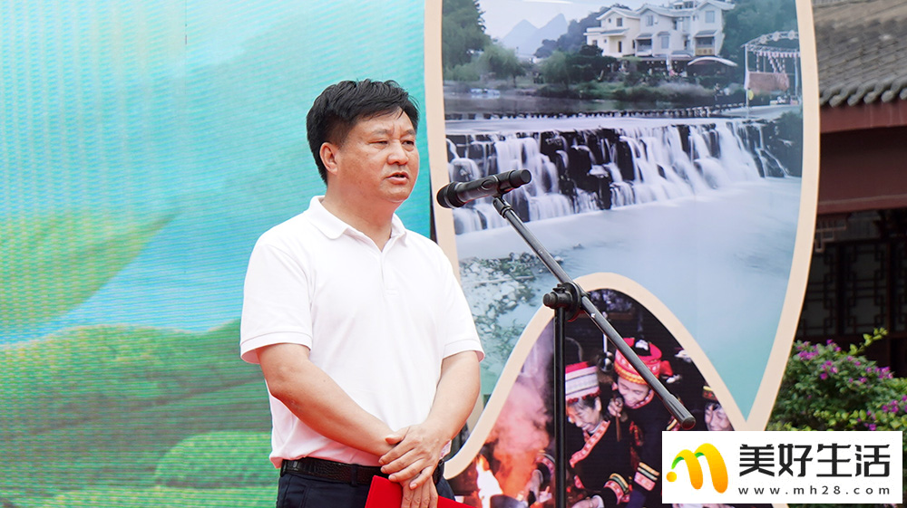 瑶乡“养生汤” 茶香飘四方(图3)