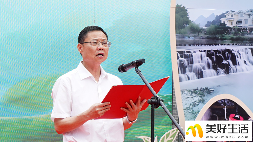 瑶乡“养生汤” 茶香飘四方(图4)