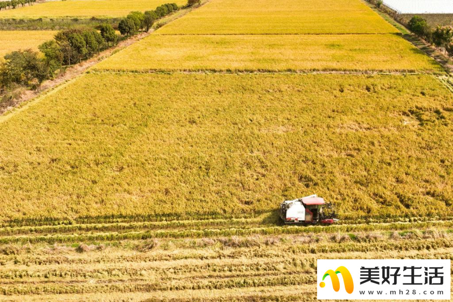 千年古镇的“焕新”之路(图2) 千年古镇的“焕新”之路(图2)