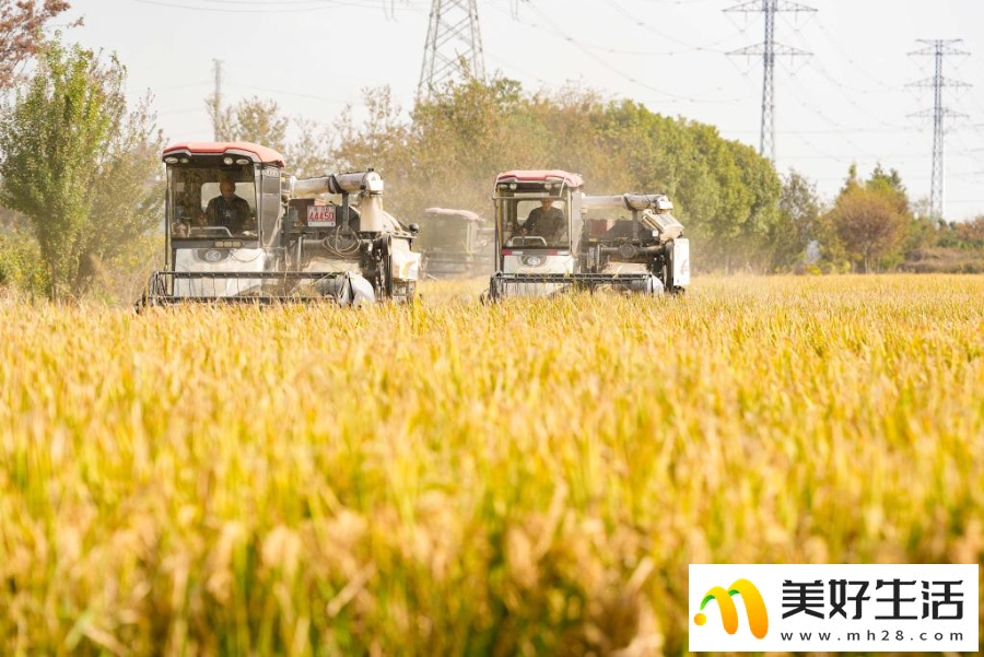 千年古镇的“焕新”之路(图3) 千年古镇的“焕新”之路(图3)