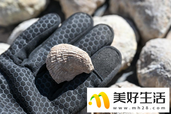 坝陵河大桥的清晨与黄昏(图2)