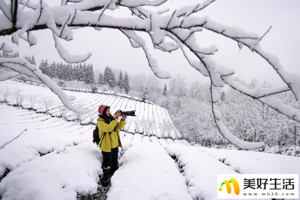 黔北雪景美如画(图3)