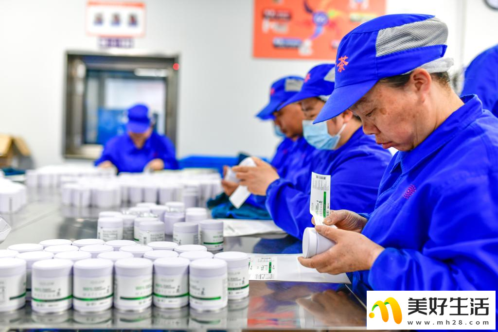 大山深处的“世界抹茶超级工厂”(图6)