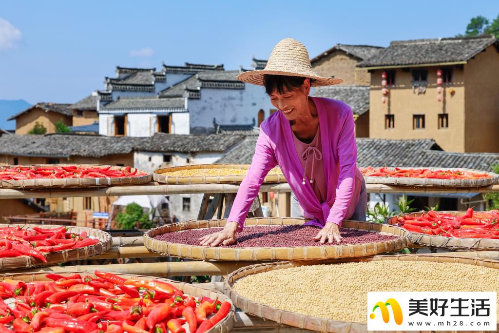 安徽歙县：土楼晒秋