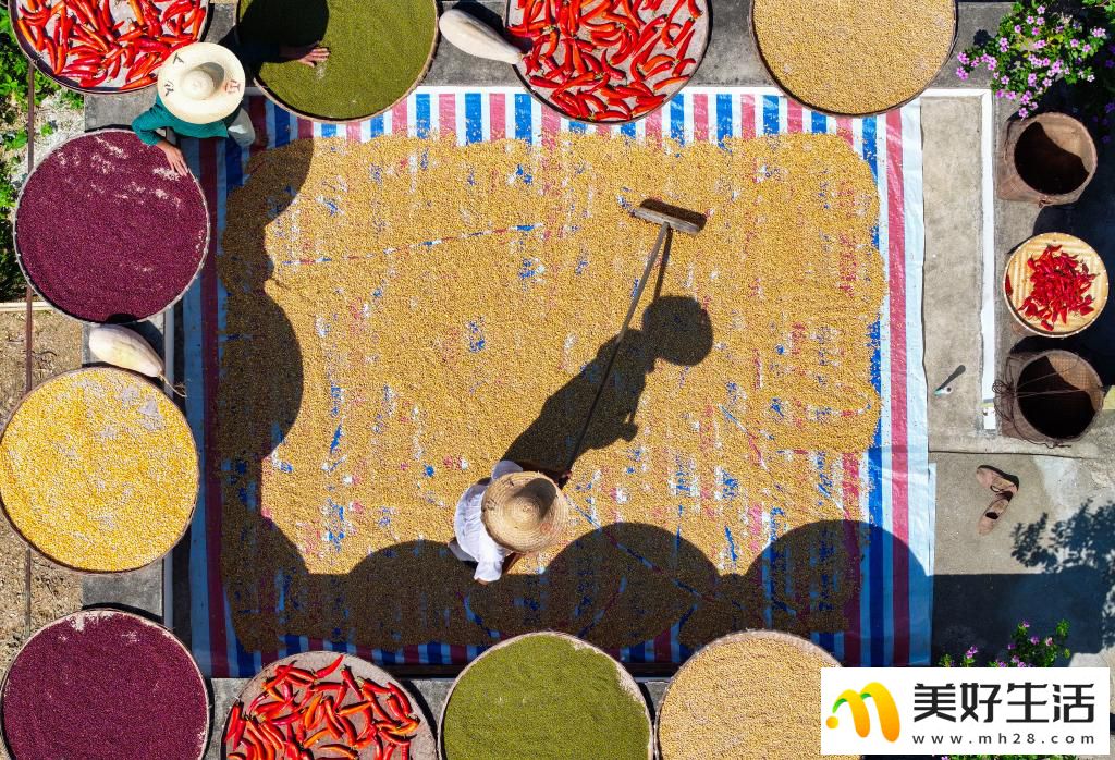 安徽歙县:土楼晒秋(图3) 安徽歙县:土楼晒秋(图3)