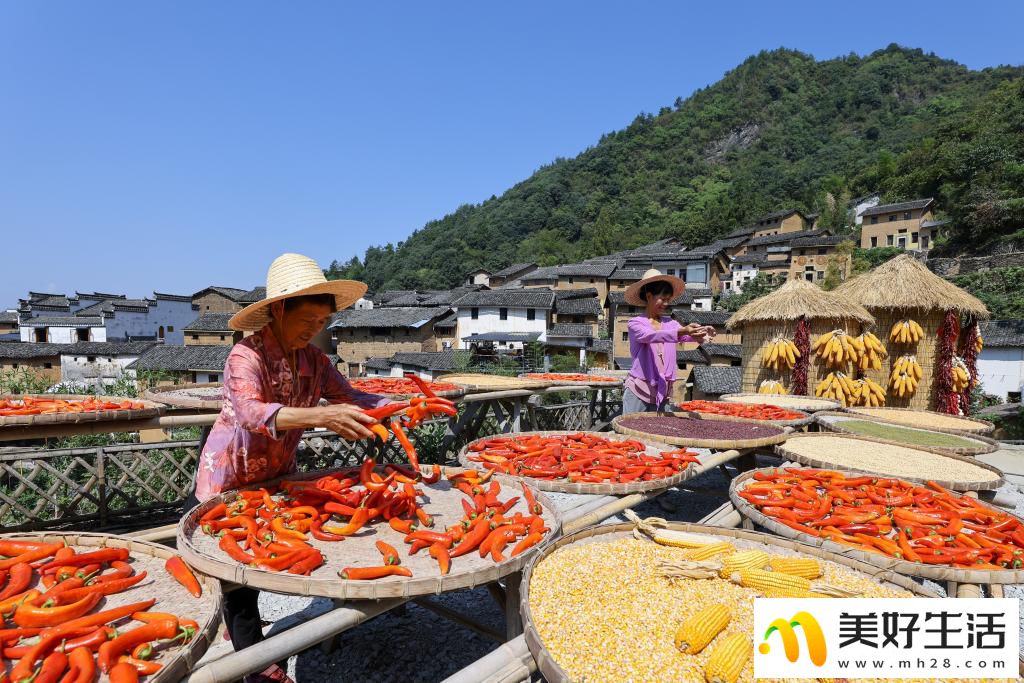 安徽歙县:土楼晒秋(图6) 安徽歙县:土楼晒秋(图6)