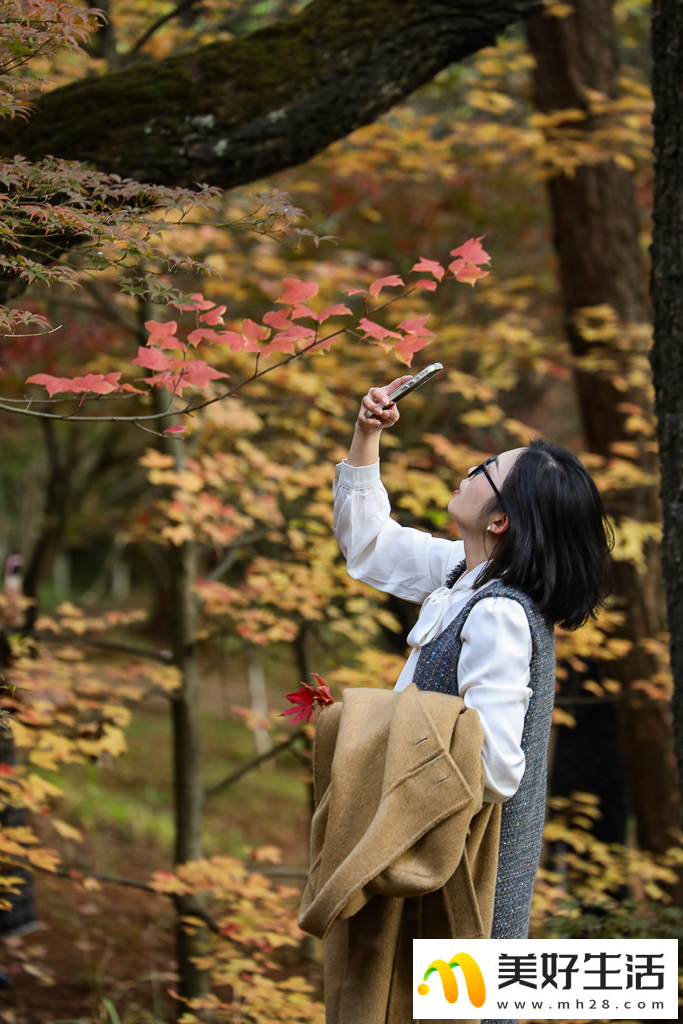 火红枫叶勾勒诗意公园(图3)
