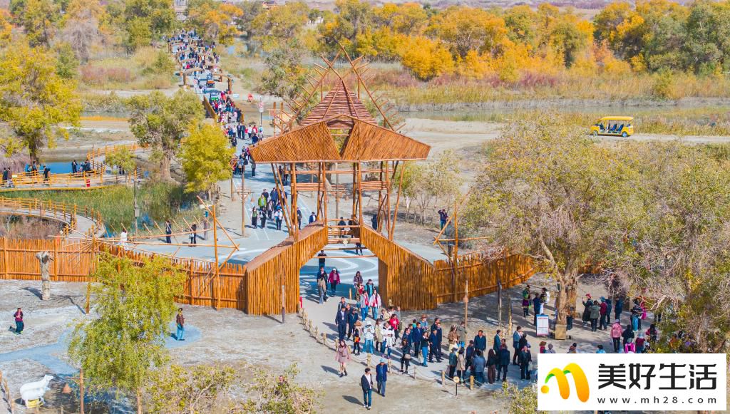 沙漠胡杨入画来(图6)