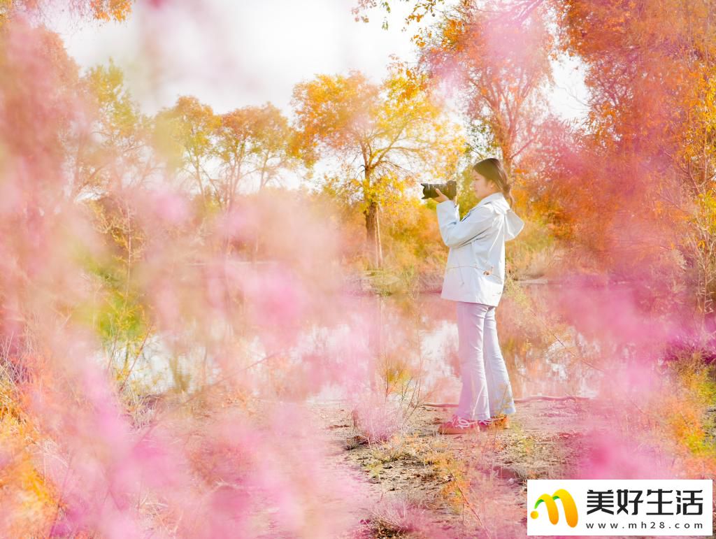 沙漠胡杨入画来(图2)