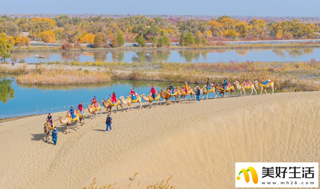 沙漠胡杨入画来(图3)