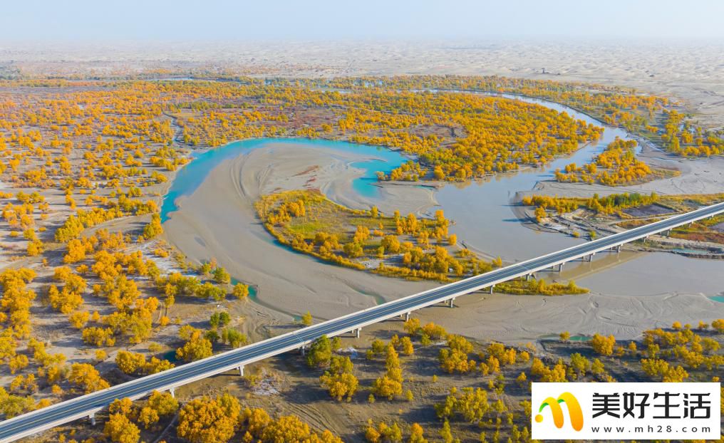 沙漠胡杨入画来(图5)