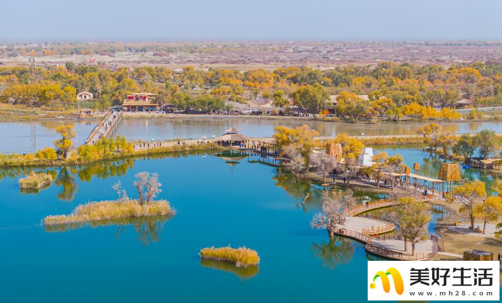 沙漠胡杨入画来(图7)