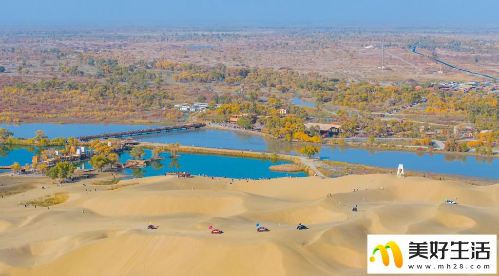 沙漠胡杨入画来(图8)