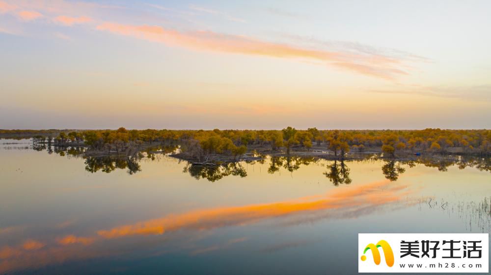 沙漠胡杨入画来(图9)