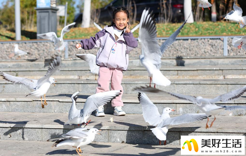 秋日乌海 人鸥同乐(图3)