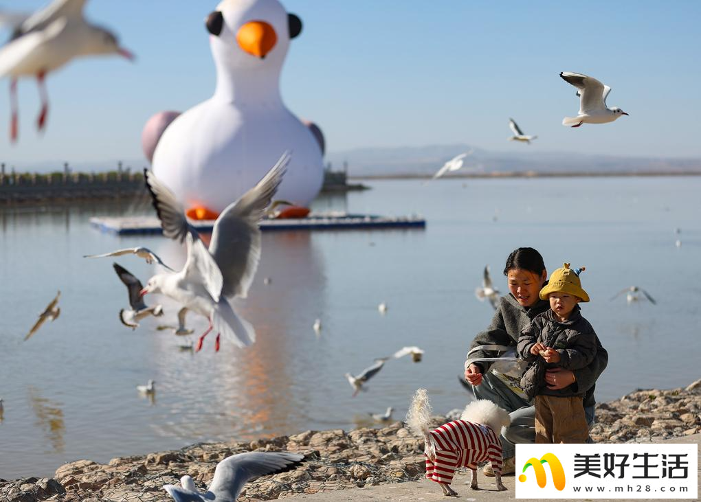 秋日乌海 人鸥同乐(图10)