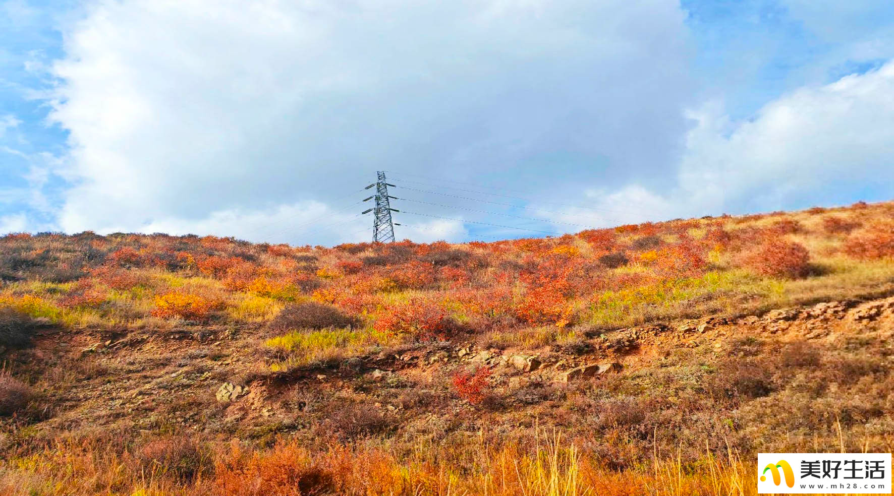 霜染草原 秋意漫天涯(图3)