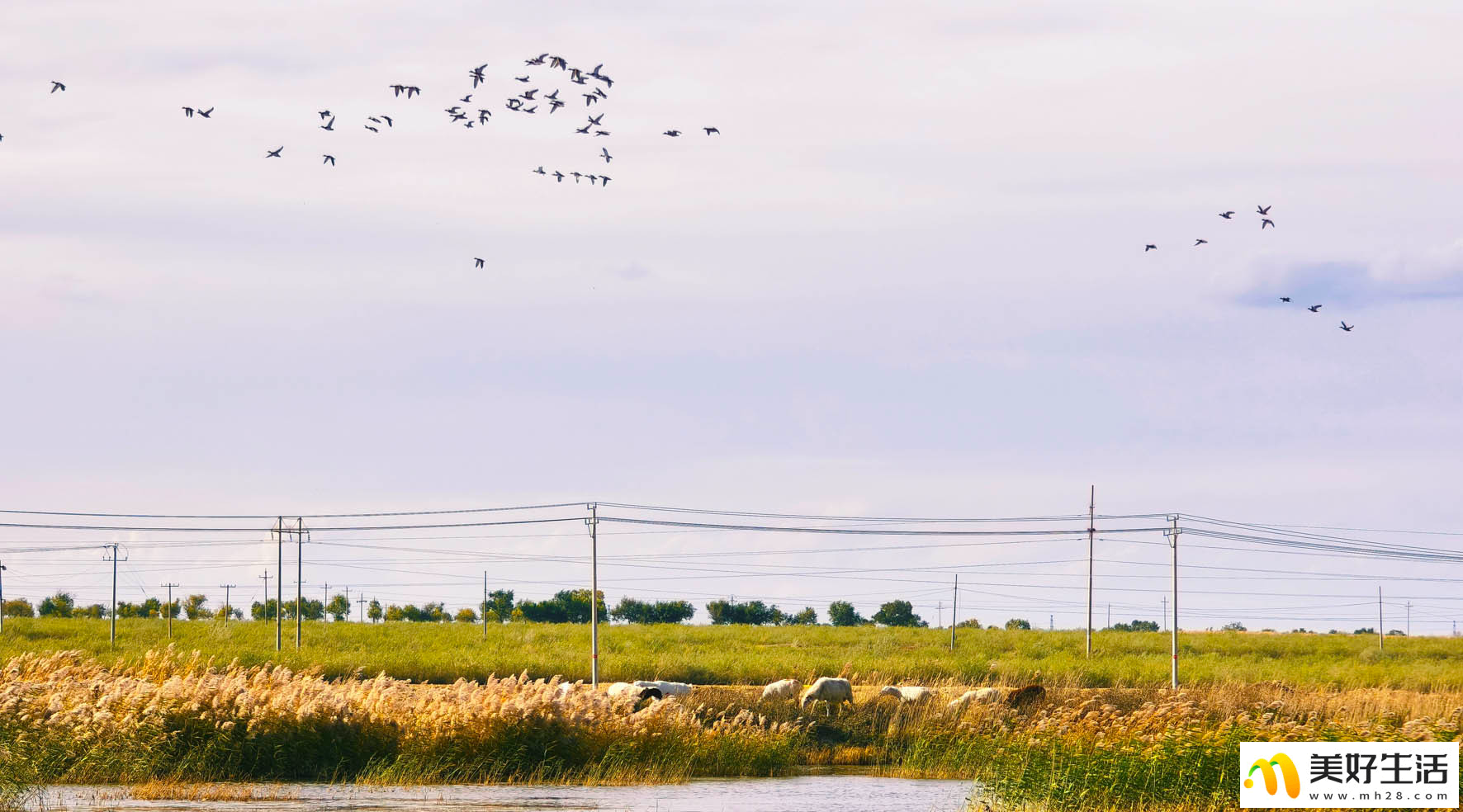 霜染草原 秋意漫天涯(图4)