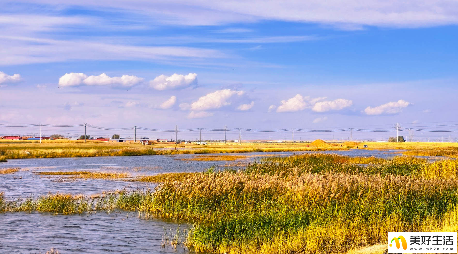 霜染草原 秋意漫天涯(图5)