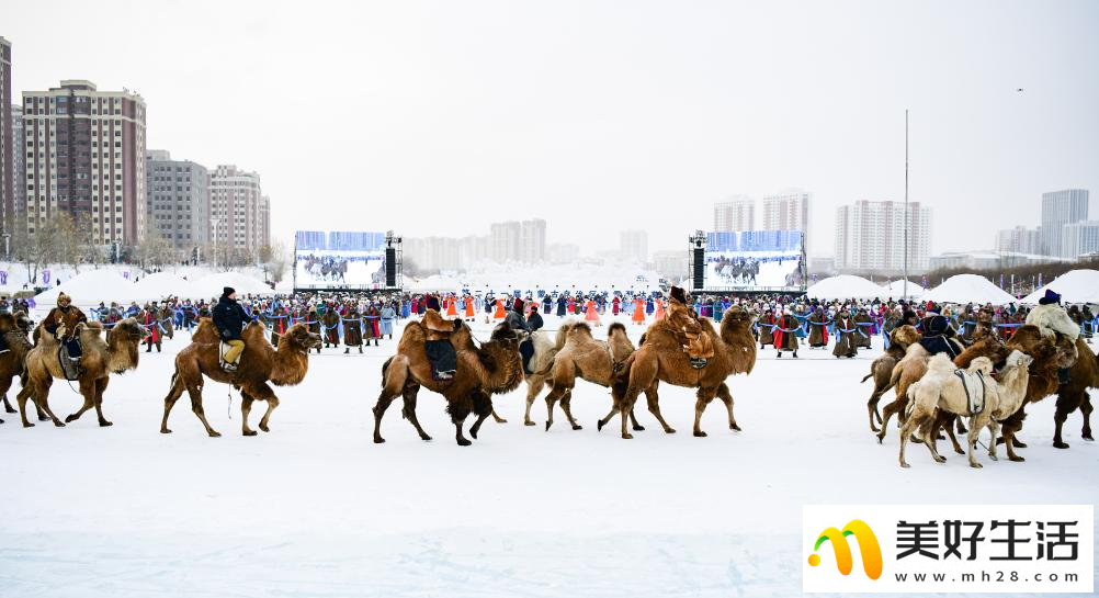 第二十一届内蒙古自治区冰雪那达慕开幕式彩排尽显“民族风”(图2)