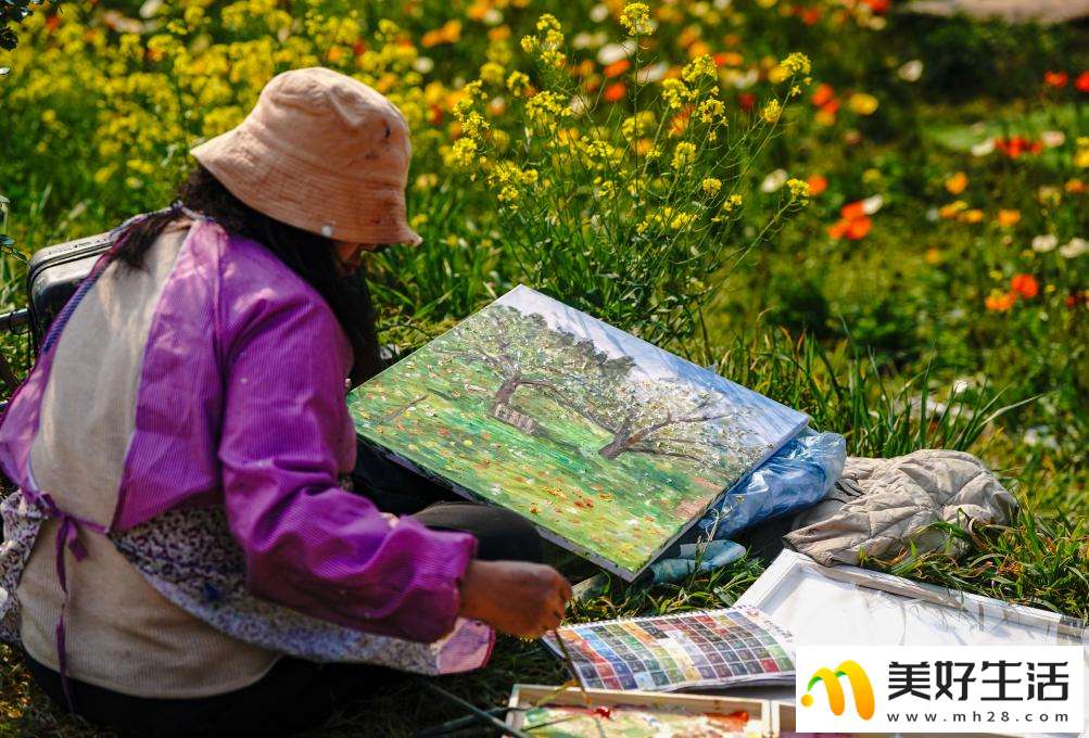 春城繁花引客来(图1)