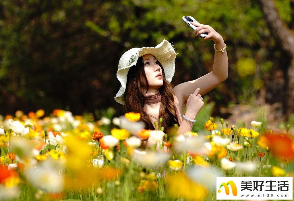 春城繁花引客来(图2)