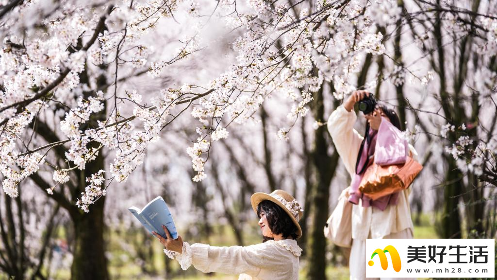 贵州：樱花似海 春满大地(图9)