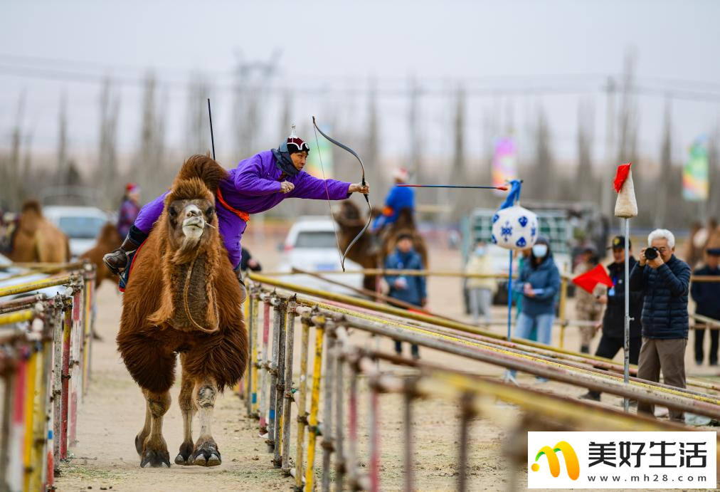 阿拉善骆驼超级联赛总决赛收官(图4)