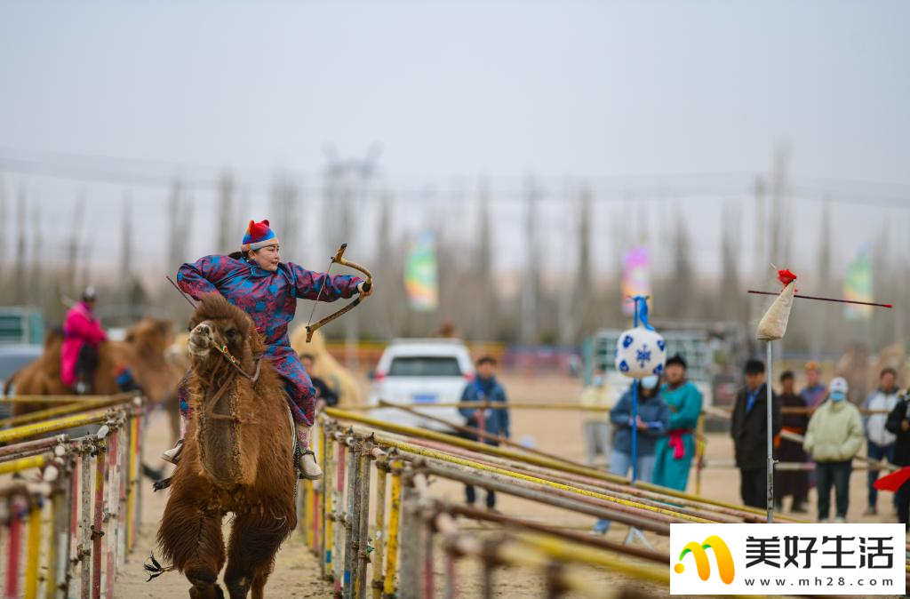 阿拉善骆驼超级联赛总决赛收官(图5)