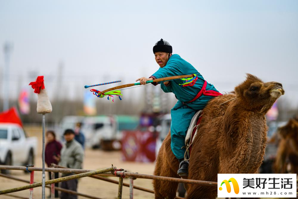 阿拉善骆驼超级联赛总决赛收官(图7)