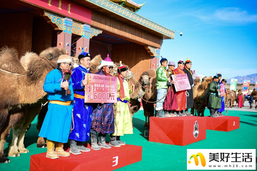 阿拉善骆驼超级联赛总决赛收官(图8)