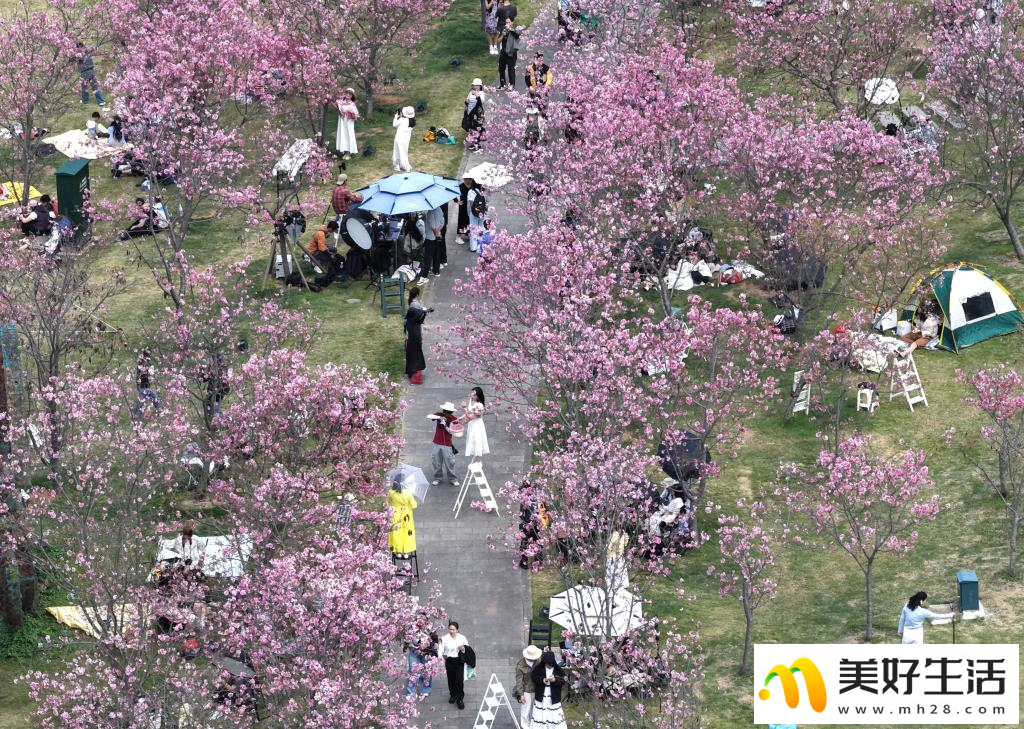 春光明媚赏花时