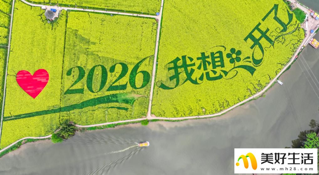 重庆潼南：油菜花开迎客来(图3)