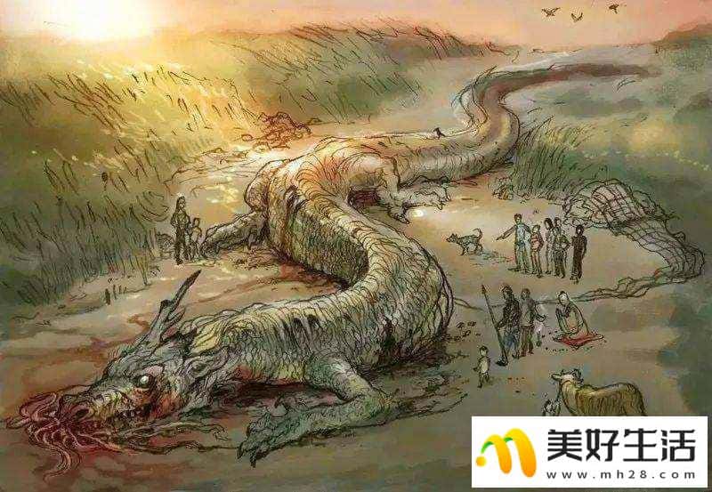 为什么十二生肖里会有龙，难道古时真的有龙吗？ (图5)