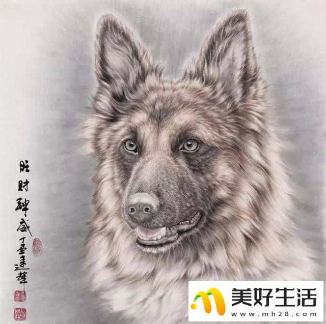 十二生肖国画作品欣赏，十二种动物齐聚一堂！ (图11)